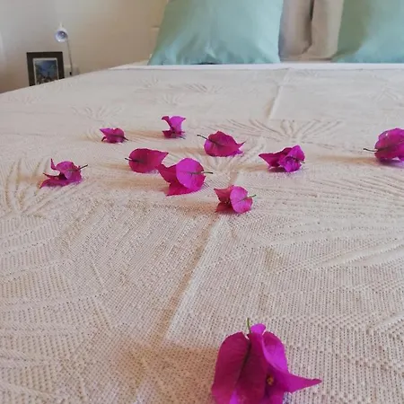 Fxapartment1 Appartement *