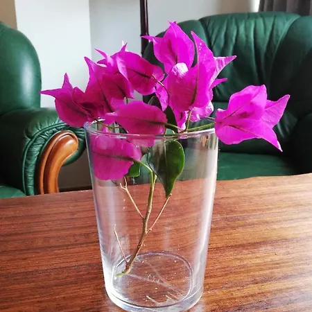 Fxapartment1 * Funchal (Madeira)