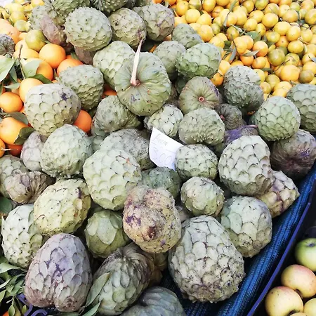 Fxapartment1 Apartment *