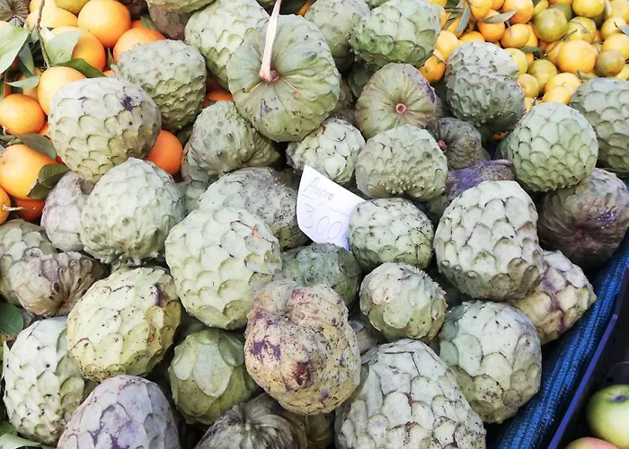 Fxapartment1 Appartement *